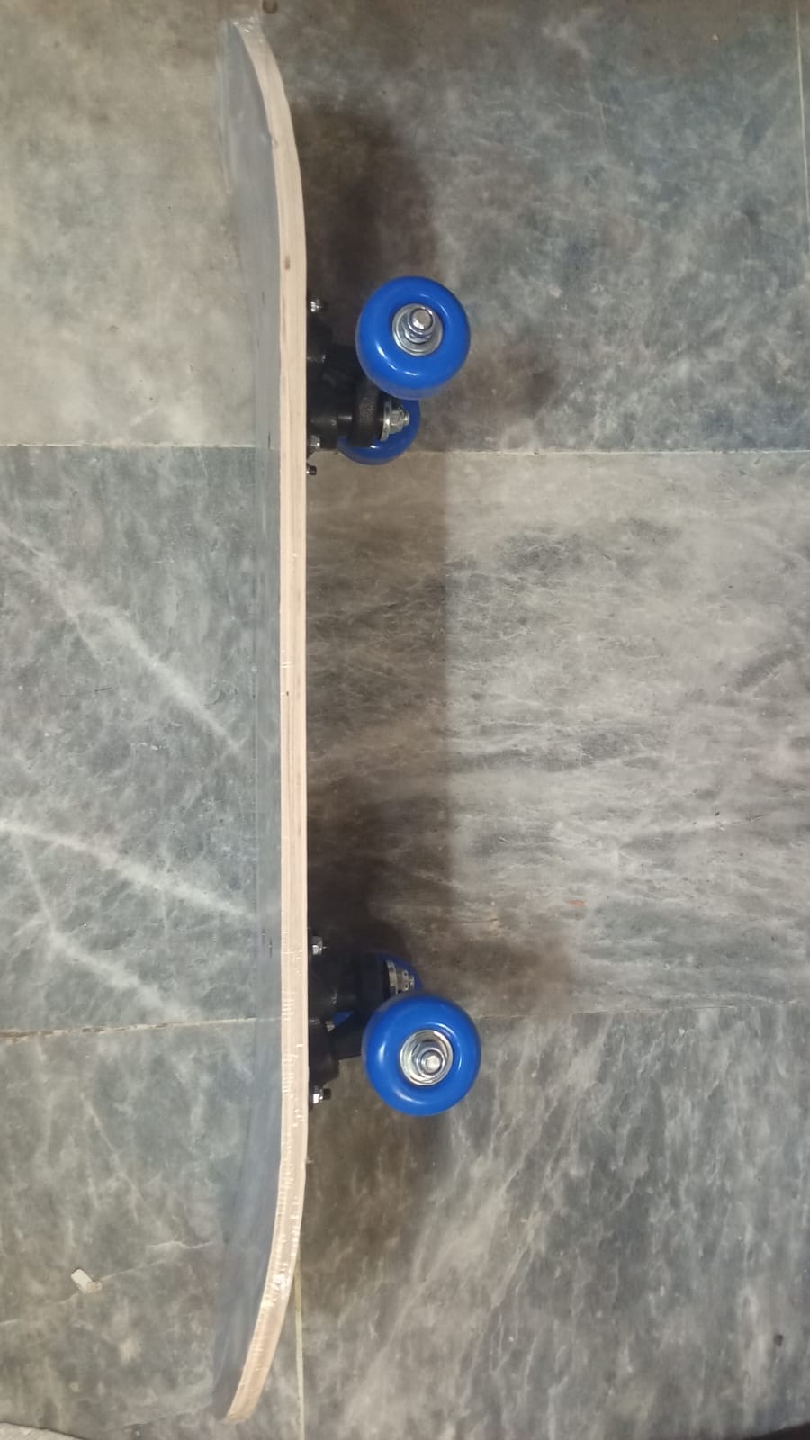Medium Shark Skateboard for Kids & Teens